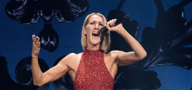 CELINE DIONS SISTER GIVES UPDATE ON SINGERS STIFF-PERSON BATTLE