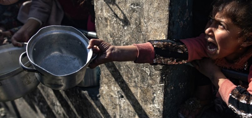 FULL-BLOWN FAMINE IN NORTH GAZA, WORLD FOOD CHIEF WARNS