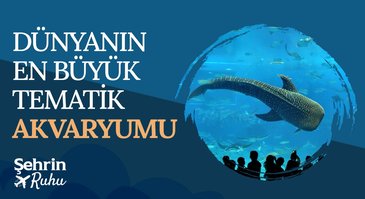 33. Bölüm | Dünyanın En Büyük Tematik Akvaryumu