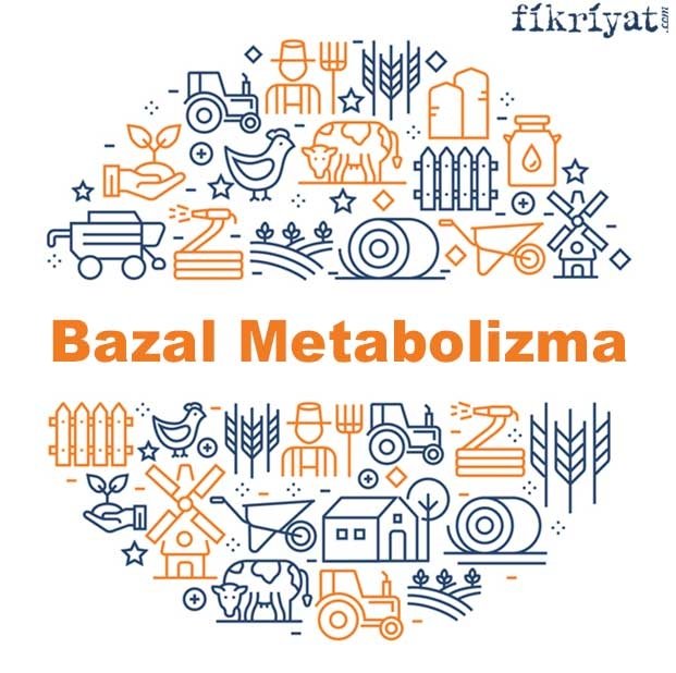 Bazal Metabolizma