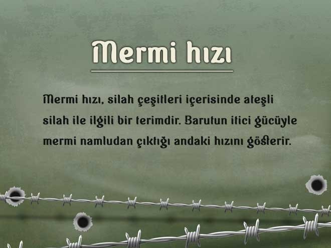 Mermi hızı