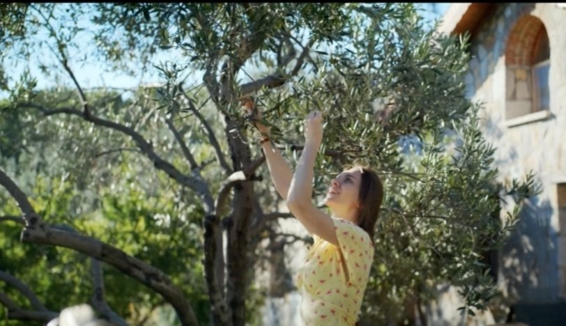 Komili; Yeni Projesi “Son Ağaç” İle Anıt Zeytin Ağaçlarına Dikkat Çekiyor…