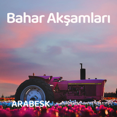 Aşkın Beni Deleyledi