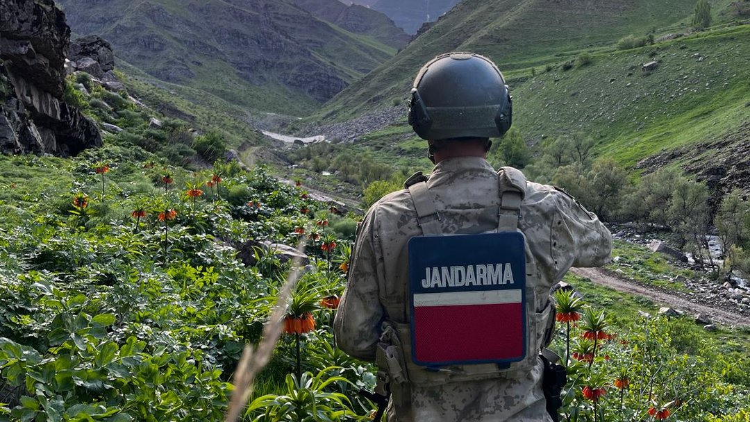 HAKKARİ’DE AÇAN TERS LALELERİ JANDARMA KORUYOR