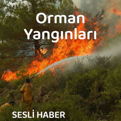 Orman Yangınları
