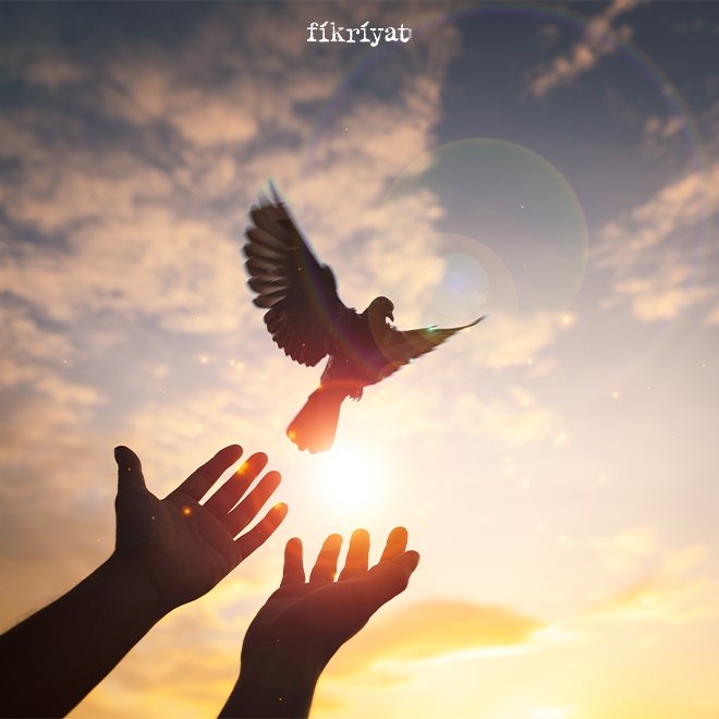 Üç aylar başlangıcı 2025