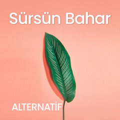 Sürsün Bahar