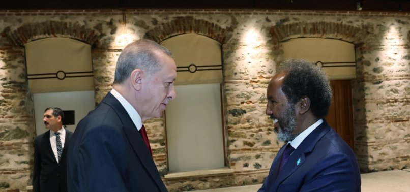 TURKISH PRESIDENT MEETS HIS SOMALI COUNTERPART IN ISTANBUL