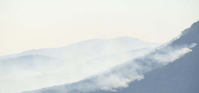 FIREFIGHTERS IN SOUTH OF FRANCE BATTLE BLAZES OVERNIGHT