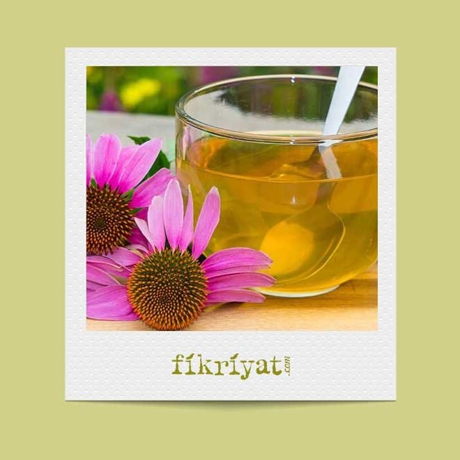 EKİNEZYA NASIL KULLANILIR?