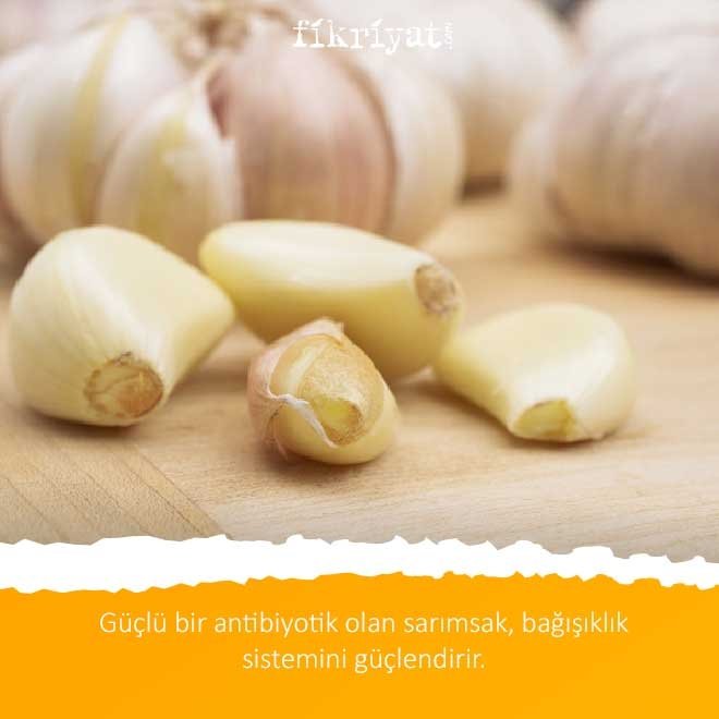 Sarımsağın faydaları nelerdir?