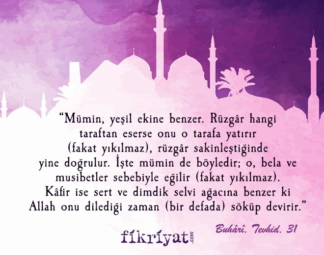 MUSİBETLERE KARŞI BAKIŞIMIZ NASIL OLMALI?