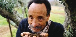 Tabiatın ve doğal tarımın filozof çiftçisi