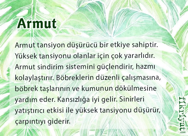 Armut