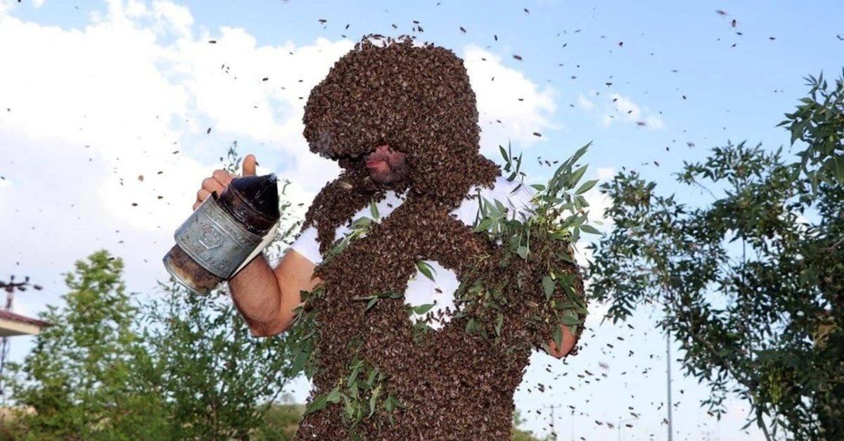 Turkish ‘bee Man Dreams To Set Guinness World Record