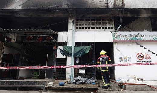Hundreds of caged animals perish in Bangkok market fire