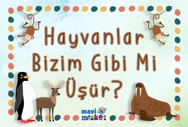 Hayvanlar Bizim Gibi Mi Üşür?
