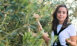 Zeytinyağı işi tamam, sıra balda