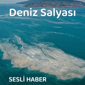 Müsilaj