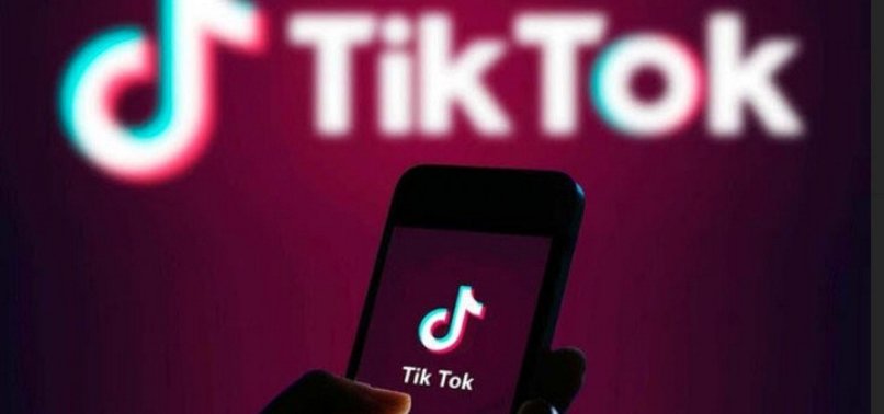 TIKTOK OPPOSES GERMAN LAW REQUIRING IT TO ACT ON ILLEGAL CONTENT