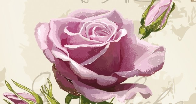 Romantizm ve romantikler