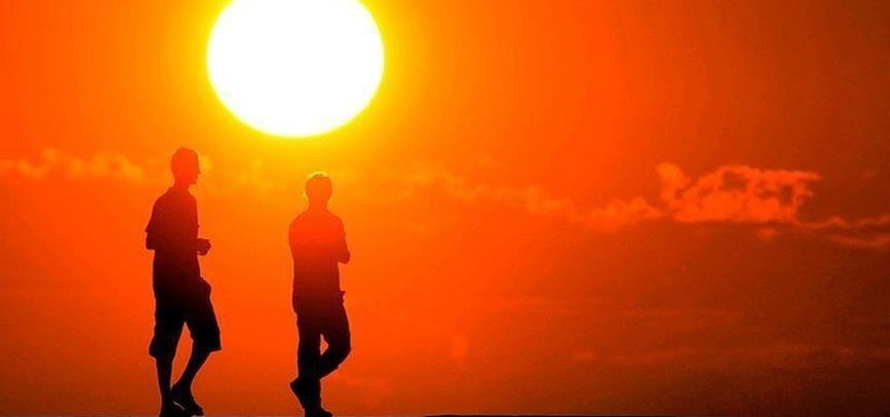 Rights group condemns Canada for 'inadequate' support in heat wave: Report