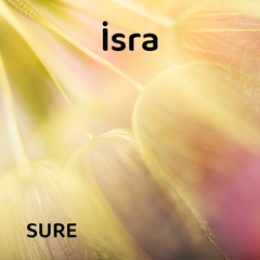 İsra Suresi | Farklı Hocalardan Dinle