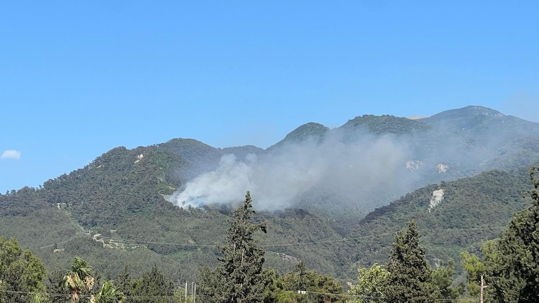 HATAY DÖRTYOL’DA ORMAN YANGINI ÇIKTI