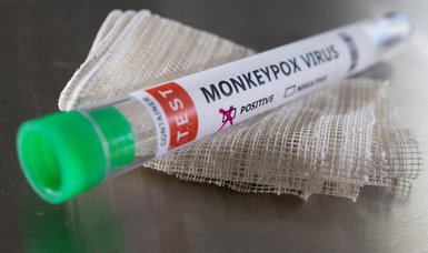 What we know of the symptoms and spread of monkeypox