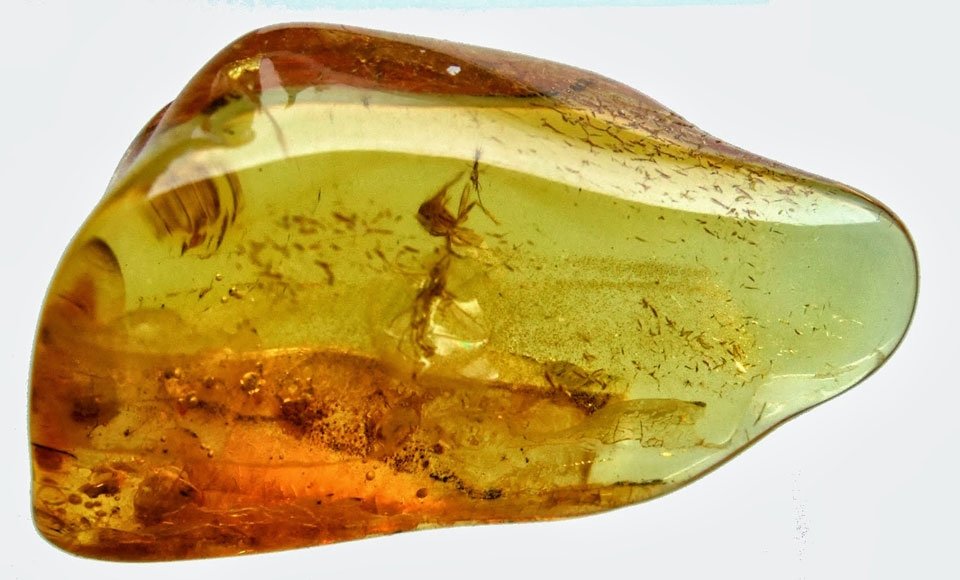 En gözde taş ve bir Ata mirası