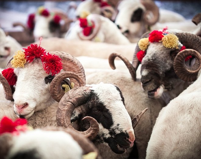 Kurban Bayramı tatili kaç gün?