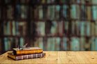 Eğitime getirilen ilk radikal eleştiri: Okul olmasaydı ne olurdu?