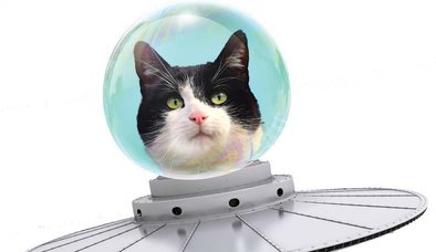 FELSEFE VE BİLİMDE ALGI YÖNETİMİ