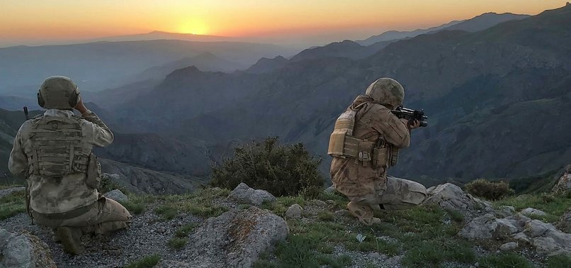 TURKISH FORCES NEUTRALIZE 10 PKK TERRORISTS