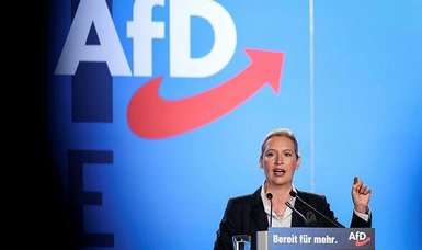 Germany's AfD wants to build 'Fortress Europe' with partners