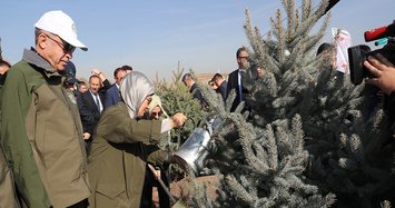 Public planting 11M trees for greener Turkey: President Erdoğan