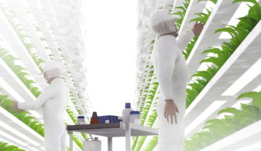 DİKEY TARIMIN KENTLERDEKİ YERİ