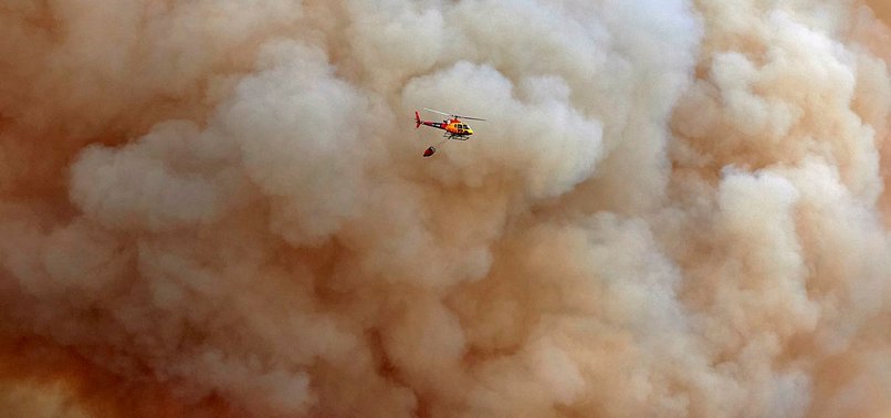 FOREST FIRE IN NORTHERN SPAIN LARGELY UNDER CONTROL