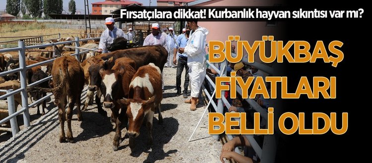 Büyükbaş fiyatları belli oldu! Fikriyat Gazetesi