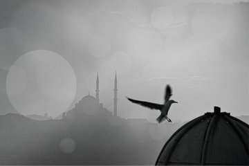 Bir Ölümün Hatırlattığı Ölüler - Vermeme Hikâyeleri - Son