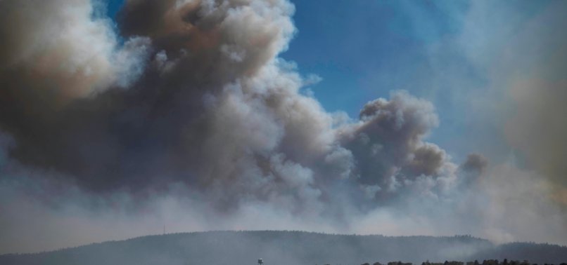 PRESIDENT DECLARES DISASTER IN NEW MEXICO WILDFIRE ZONE