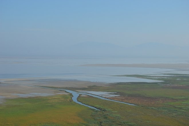 Türkiye’nin kuş cenneti: Acıgöl