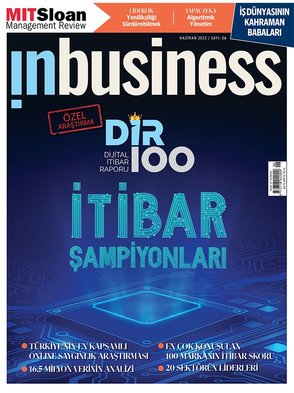 In Business SAYI 6
