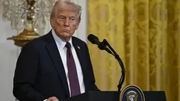 Trump’tan AfD’ye Övgü