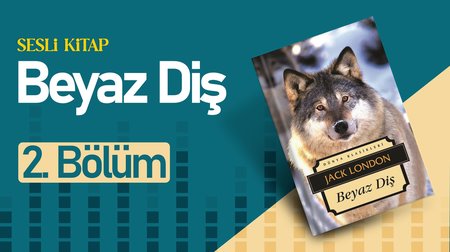 Beyaz Diş | 2. Bölüm
