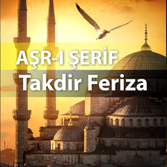 Takdir Feriza