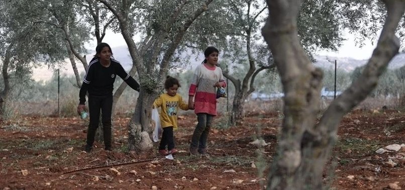 WASTE FROM ILLEGAL ISRAELI SETTLEMENTS THREATENS PUBLIC HEALTH, AGRICULTURE IN WEST BANK