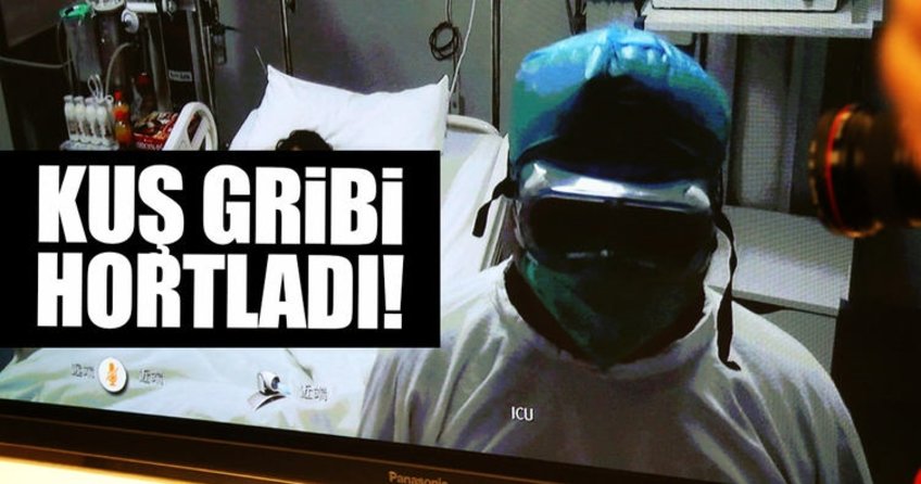 Çin’de kuş gribi