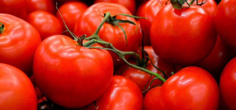 TURKEY OBJECTS TO RUSSIAS IMPORT QUOTA ON TOMATOES