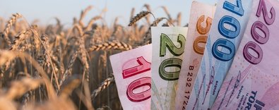 Enfazlaartışfarködemesidesteklerinde